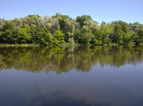 River and forest Stock Photos