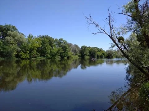 River and forest Stock Photos