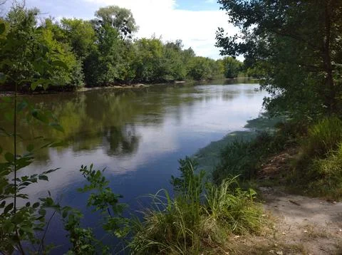 River and forest Stock Photos