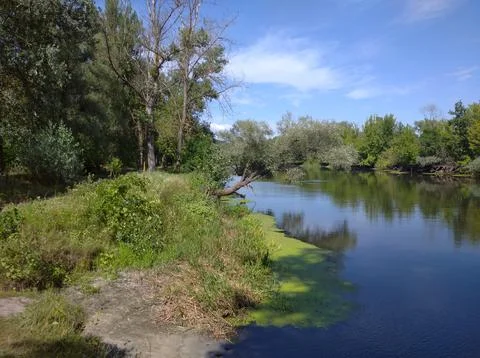 River and forest Stock Photos