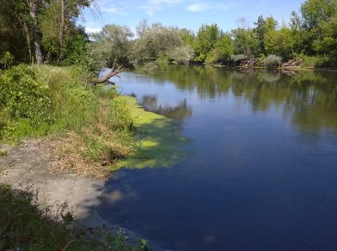 River and forest Stock Photos