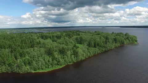 River and forest on the shore Stock Footage 145661313