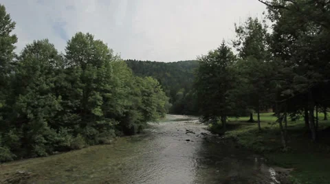 River and forest in Slovenia Stock Footage 37863432