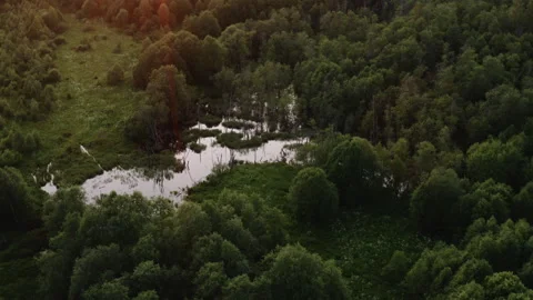 River and forest at sunset drone view Stock-Footage 248755965
