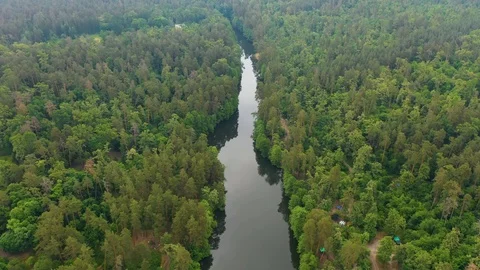 River and Forrest Video stock 109545393