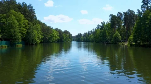 River and Forrest Video stock 109545413