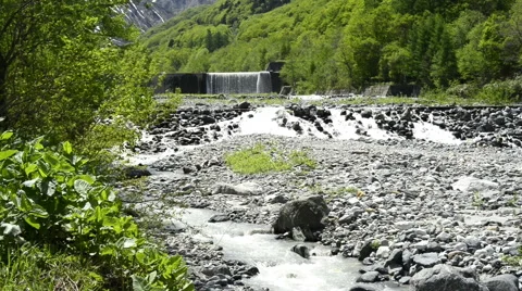 River and the fresh green Stock Footage 50130053