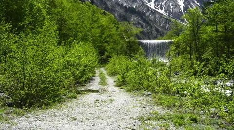 River and the fresh green Stock Footage 50145453