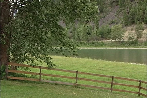 River and Grassy Yard in Pacific Northwest Stock Footage 93334103