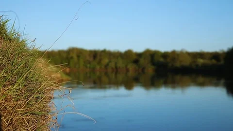 River and green forest, blurred background Stock Footage