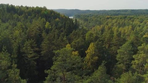 River and Green Forest nature near summer Cesis city in Latvia, Gauya, 4K drone 動画素材 97912573