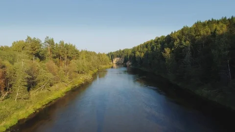 River and Green Forest nature near summer Cesis city in Latvia, Gauya, 4K drone Stockbeeldmateriaal 97913583