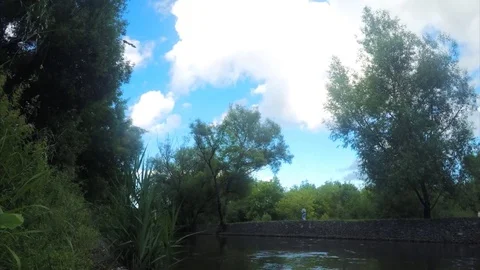 River And green Trees On Summer Timelapse 스톡 동영상 82048297