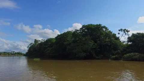 River and Jungle Stock Footage 73229624