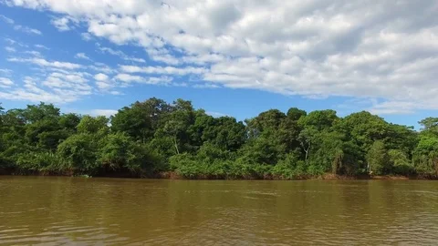 River and Jungle Stock Footage 73230181