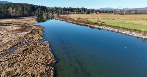 River and marshland, low level follow shot Pt 1 of 4 - 5K Video stock 228342550