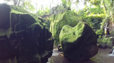 River and Moss on the rocks Stock Footage 41379100