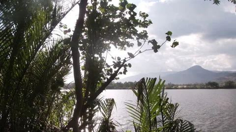 River and Mountain under Sun seen through the Jungle 動画素材 168130560