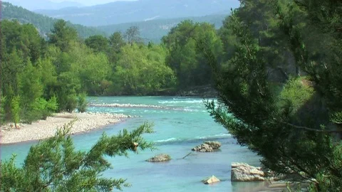 River and Mountain in the Woods 動画素材 103823878