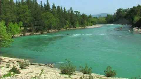 River and Mountain in the Woods Vídeo Stock 103824655