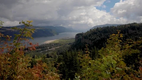 River and mountains with fall leaves in the foreground Vídeo Stock 100245622