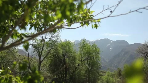 River and mountains tilt Stock Footage 51387259