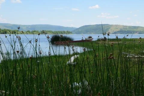 River and the mountains, the view through the vegetation Stock Photos