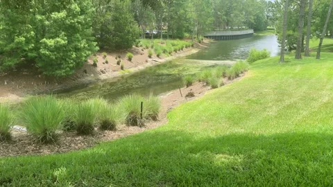 River and Nature Background Stock Footage 244188787