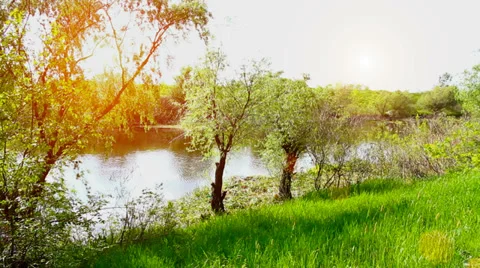 River and Nature Stock Footage 38011165