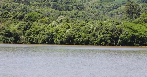 River and nature Video stock 92549606