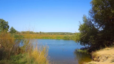 River and nature in summer Stock Footage 101075157