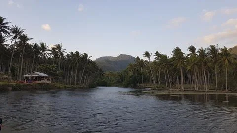 River and palm trees at sunset, Senggigi, Lombok, Indonesia Stock Photos