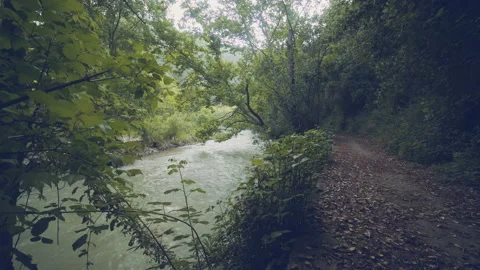 River and Path Stock Footage 156549420