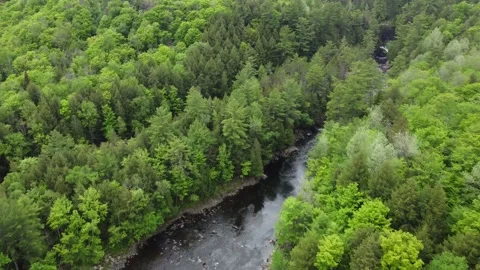 River and Rapids Hidden in a Dense Forest - in Rawdon Stock Footage 158181668
