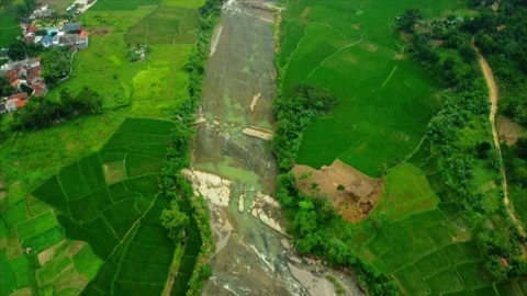 River and rice fields Video stock 310372663