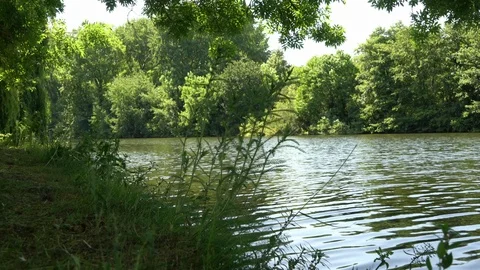 River and River Bank Stock Footage 121456782