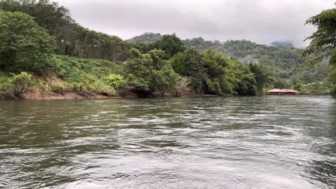 River and riverbank view Stock Footage 323242553