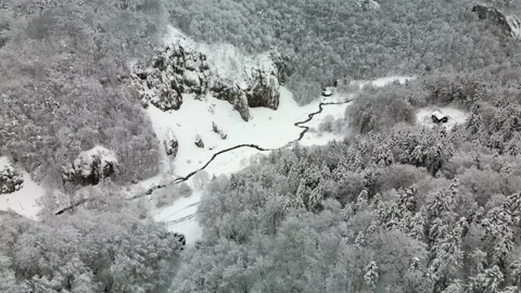 River and rocks in a snowy forest Stock Footage 231262459