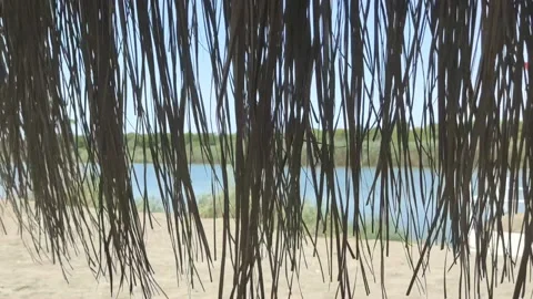 River and sandy beach view through palm leaves Stock Footage 171756454