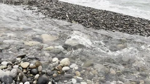 River and sea Video stock 203911625