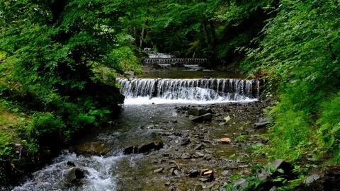 River and small rapids Stock Footage 102598464