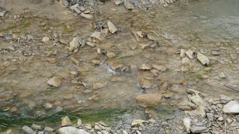 The River And Small Rapids, In The Woods From The Mountains Flow Beautifully The Stock Footage 161985052