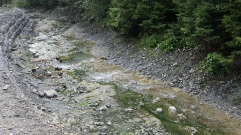 The River And Small Rapids, In The Woods From The Mountains Flow Beautifully The Stock Footage 161985054