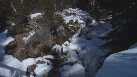 River and snow in the forest. Stock Footage 149439159