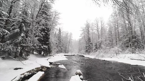 River and snowfall. Winter landscape. Snowflakes fall in flakes. Video stock 150616857