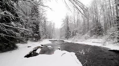 River and snowfall. Winter landscape. Snowflakes fall in flakes. Video stock 151719097