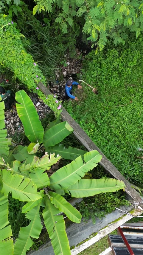 River and solid waste Video stock 296516288