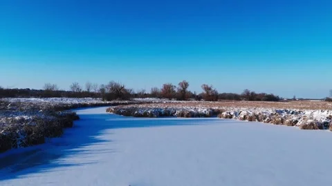 River and split trees 스톡 동영상 322147356