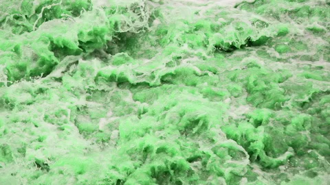 River and St. Patrick 4K 422 Видео 332618739