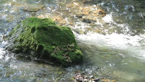 River and stone Stock Footage 8908695